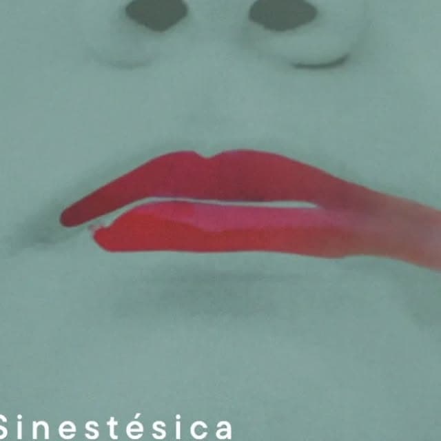 Noite Literaria na Casa Sinestesica: escrita, sensibilidade e encontro