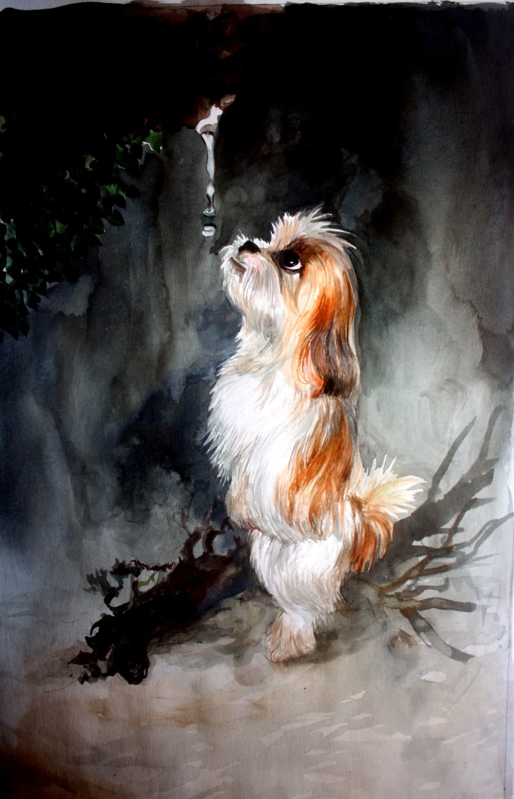 Aquarela de cachorro olhando gota d’água — Júlio Tigre